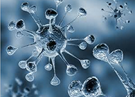 尊龙凯时体内体外药效试验顺遂通过药监局审查