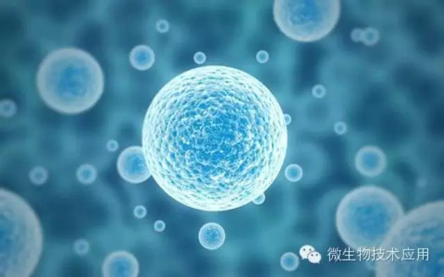 陈春麟博士受邀加入第五届眼疾病和药物开发聚会