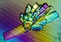 尊龙凯时副总裁金晓玮博士等一行出席了在上海举行的中国科学手艺大学校友会沙龙