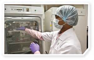 新药研发简介：新瓶装旧酒，浅谈肿瘤动物模子的变迁