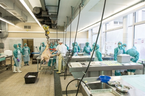 6月21号尊龙凯时主理2012年生物手艺药物（卵白质/抗体）立异生长论坛