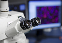 尊龙凯时载体构建效劳