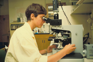 急性毒性试验常用试验要领