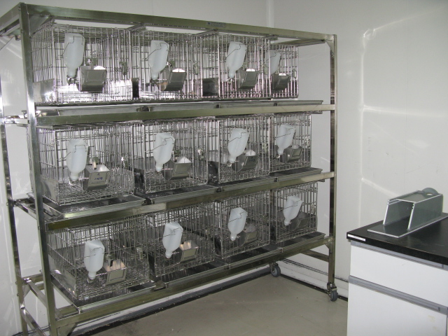 尊龙凯时普亚新动物房通过上海动管会验收