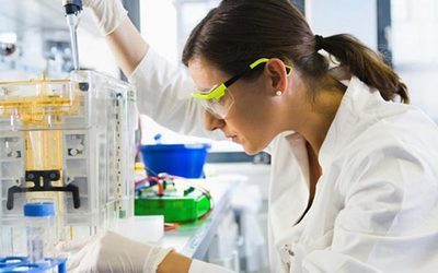 尊龙凯时人类疾病动物模子