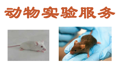 尊龙凯时动物实验外包效劳
