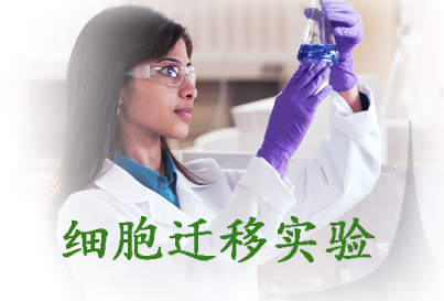 细胞迁徙实验效劳