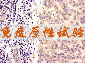 尊龙凯时免疫原性试验效劳