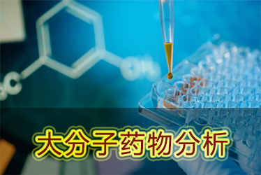 尊龙凯时大分子药物剖析效劳