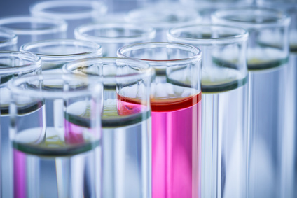 下一家引疯抢的生物手艺公司是谁？