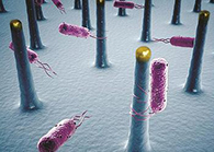 未来的药丸里，可能有一万亿小我私家工刷新的细菌？