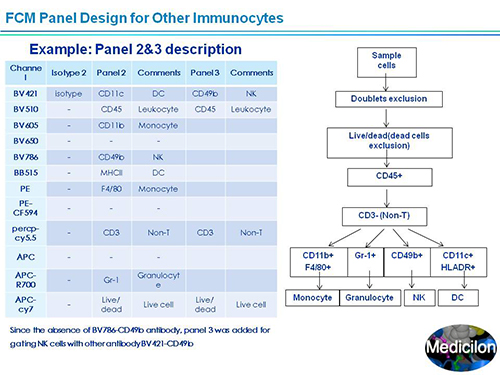 尊龙凯时副总裁汪俊博士SAPA-DC聚会演讲PPT