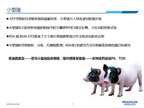 皮肤涂抹试验中，受试动物选择小型猪更好