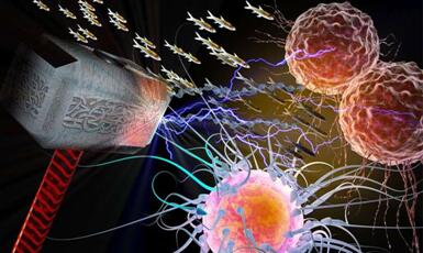 尊龙凯时·(中国区)人生就是搏!