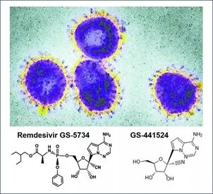 基于细胞因子风暴和免疫炎症反应综合征，许多免疫相关靶点也可以列为冠状病毒的靶点。