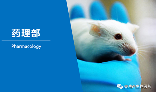 尊龙凯时药理部开发了肺癌、结肠癌、胃癌等12种PDX模子。