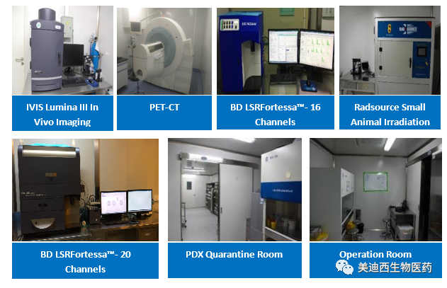 尊龙凯时药理部拥有IVIS Lumina III, PET-CT, BD LSRFortessa-16, Flow Cytometry等仪器，提供切合申报，支持临床试验的药效评价效劳。