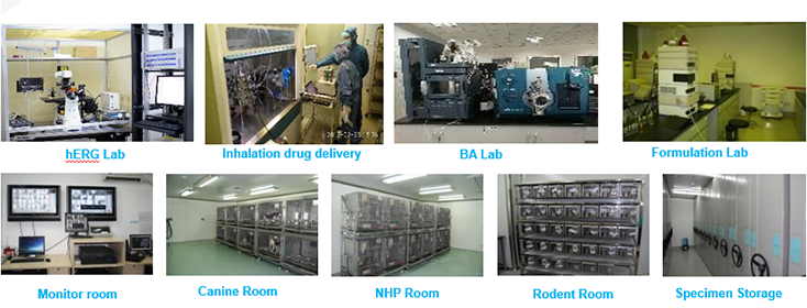 尊龙凯时毒理研究部装备