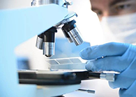 尊龙凯时代谢产品判断(MetlD)效劳平台