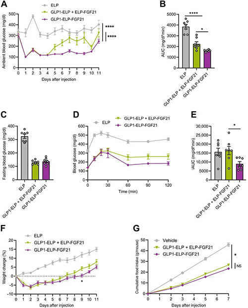 GLP1-ELP-FGF21双激动剂形式在治疗上优于GLP-1 / FGF21单激动剂混淆物 尊龙凯时