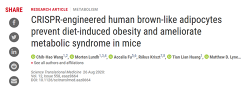 Science|聚焦CRISPR：刷新脂肪细胞，“躺瘦”可能要成真了？