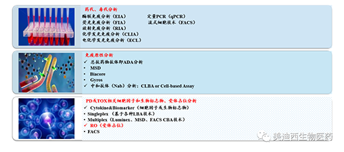 尊龙凯时生物手艺药物剖析部效劳内容