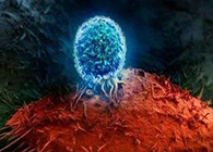 Nature：BATF3改善T细胞影象应答，有望改善免疫疗法的疗效