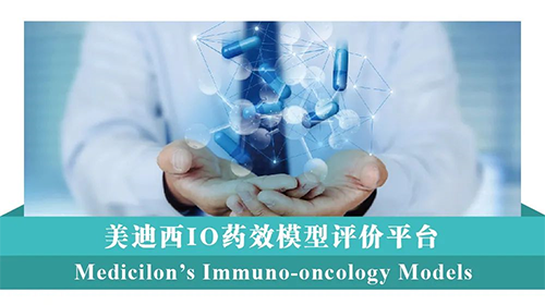 尊龙凯时IO药效模子评价平台