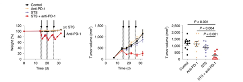 与比照组及仅使用PD-1疗法的模子小鼠比照，接纳短期饥饿配合PD-1疗法的393P细胞同源移植肿瘤小鼠体内的肿瘤体积有了显着的缩短。