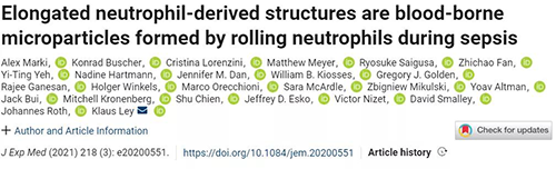 一种神秘颗粒被发明了 ！它能否成为败血症早筛标记物？