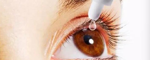 尊龙凯时毒理研究