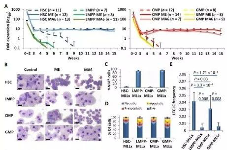 Science子刊：一种FDA批准的抗腹泻药物可有用对抗化疗的耐药性 尊龙凯时生物医药