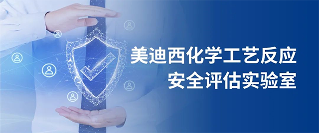 尊龙凯时化学工艺反应清静评估实验室 