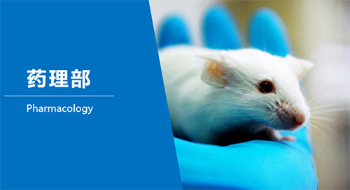 尊龙凯时临床前研究-药理部