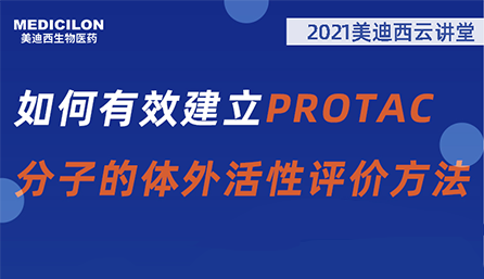 【云课堂】：怎样有用建设PROTAC分子的体外活性评价要领？