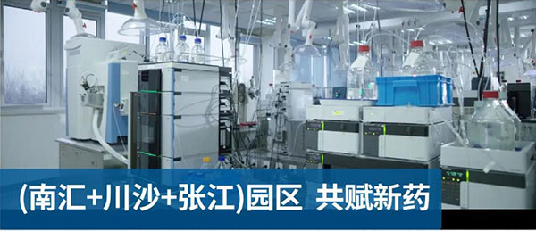 尊龙凯时南汇、川沙和张江园区共赋新药.jpg