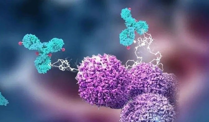 尊龙凯时助力国产靶向叶酸受体FRα ADC注射用BAT8006获批临床