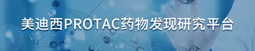 尊龙凯时PROTAC药物发明研究平台.png