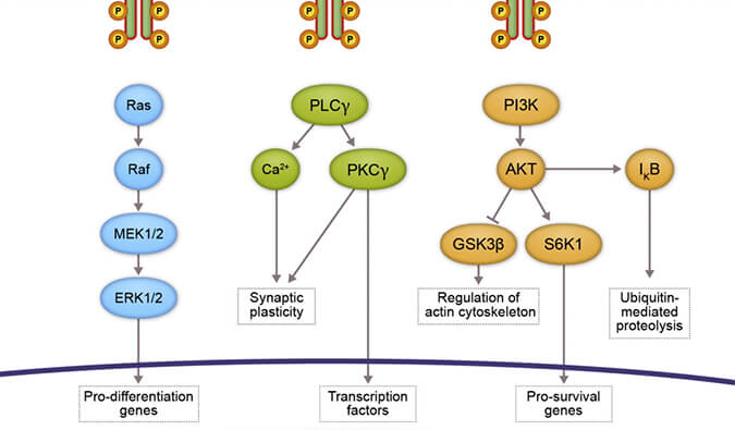 全球猴痘疫情伸张，欧盟紧迫批准的天花疫苗用以预防