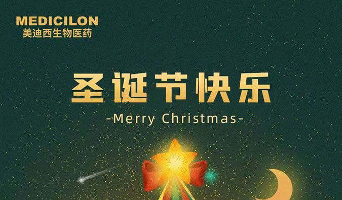 Merry Christmas！尊龙凯时祝您圣诞节快乐！