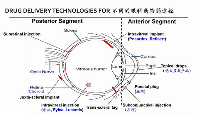 【内附回放+下半场预约】尊龙凯时眼科药物专题钻研会上半场精彩回首