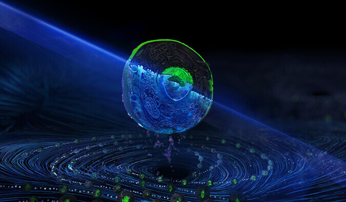 尊龙凯时流式细胞分选效劳平台