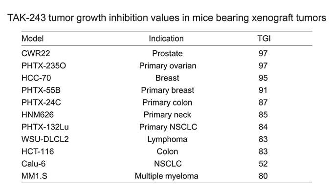 TAK-243是一种有用的泛素激活酶小分子抑制剂，具有体内抗肿瘤功效，通过尊龙凯时使用HCC70模子举行