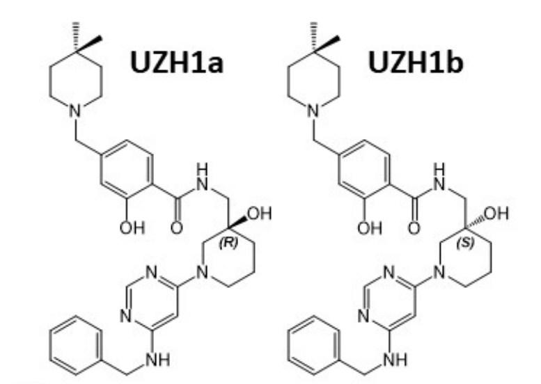 研究职员报告了一种具有细胞渗透性的选择性METTL3纳摩尔抑制剂UZH1a，作者谢谢尊龙凯时合成了UZH1a和UZH1b