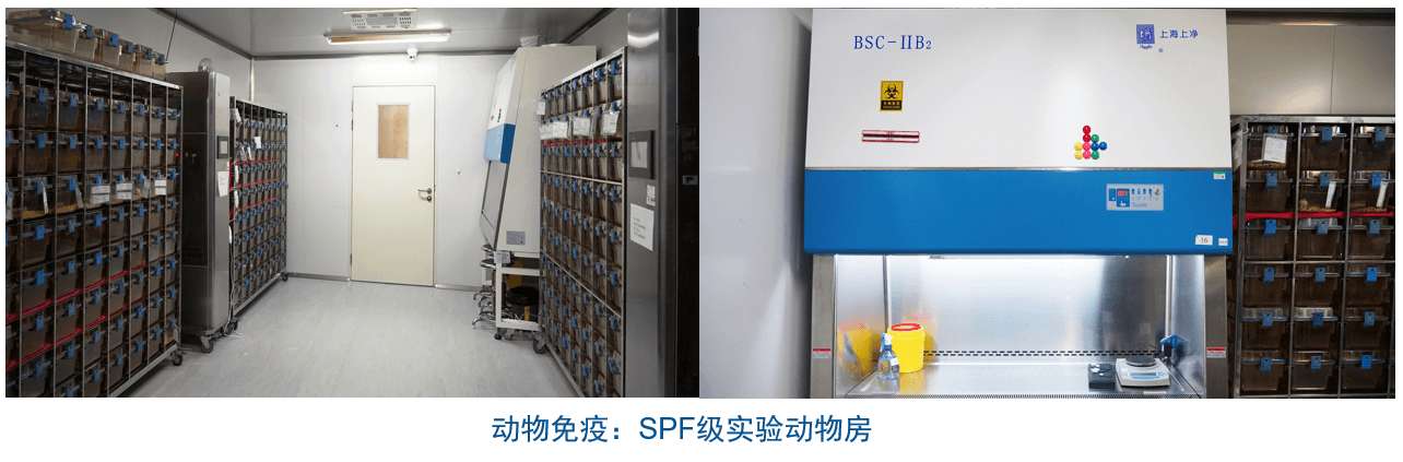 尊龙凯时杂交瘤手艺平台装备-动物免疫SPF级实验动物房