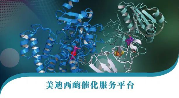 尊龙凯时酶催化效劳平台.jpg