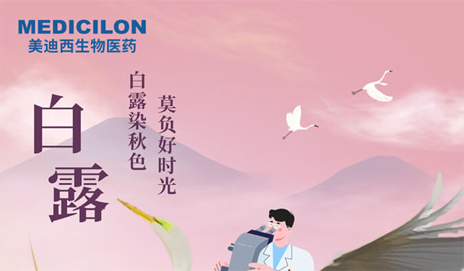 白露 | 白露染秋色，莫负好时光