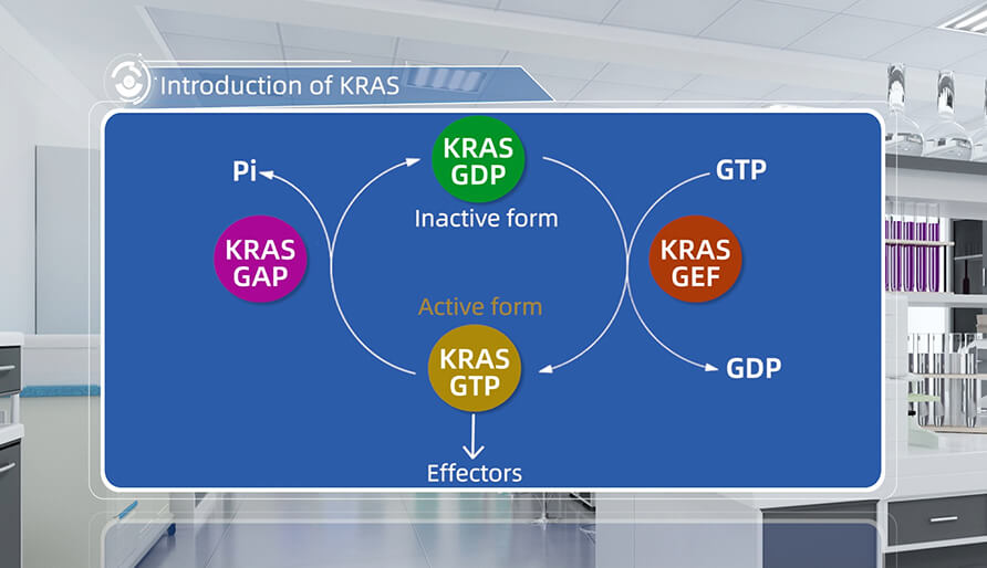 什么是KRAS？