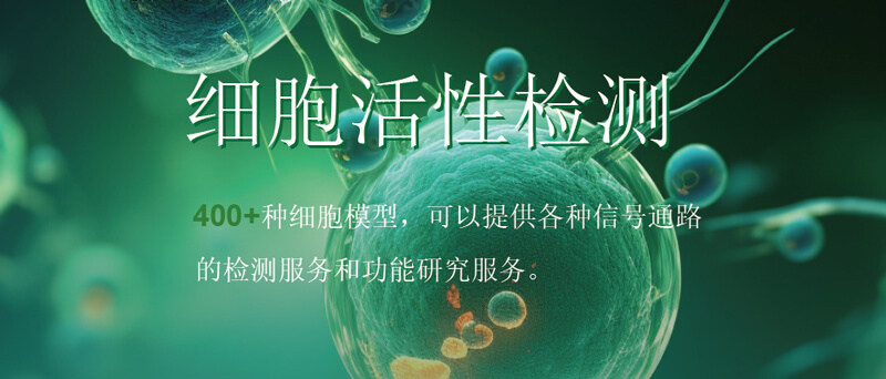 尊龙凯时细胞活性检测.jpg