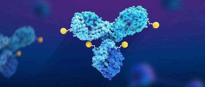 天下肿瘤日聚焦：AACR年会引领全球肿瘤新药趋势，国产药引领风潮